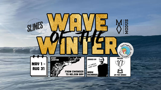 WAVE OF THE WINTER