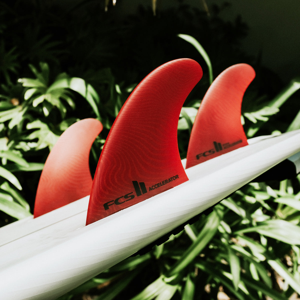 ACCELERATOR NEO GLASS TRI FIN SET