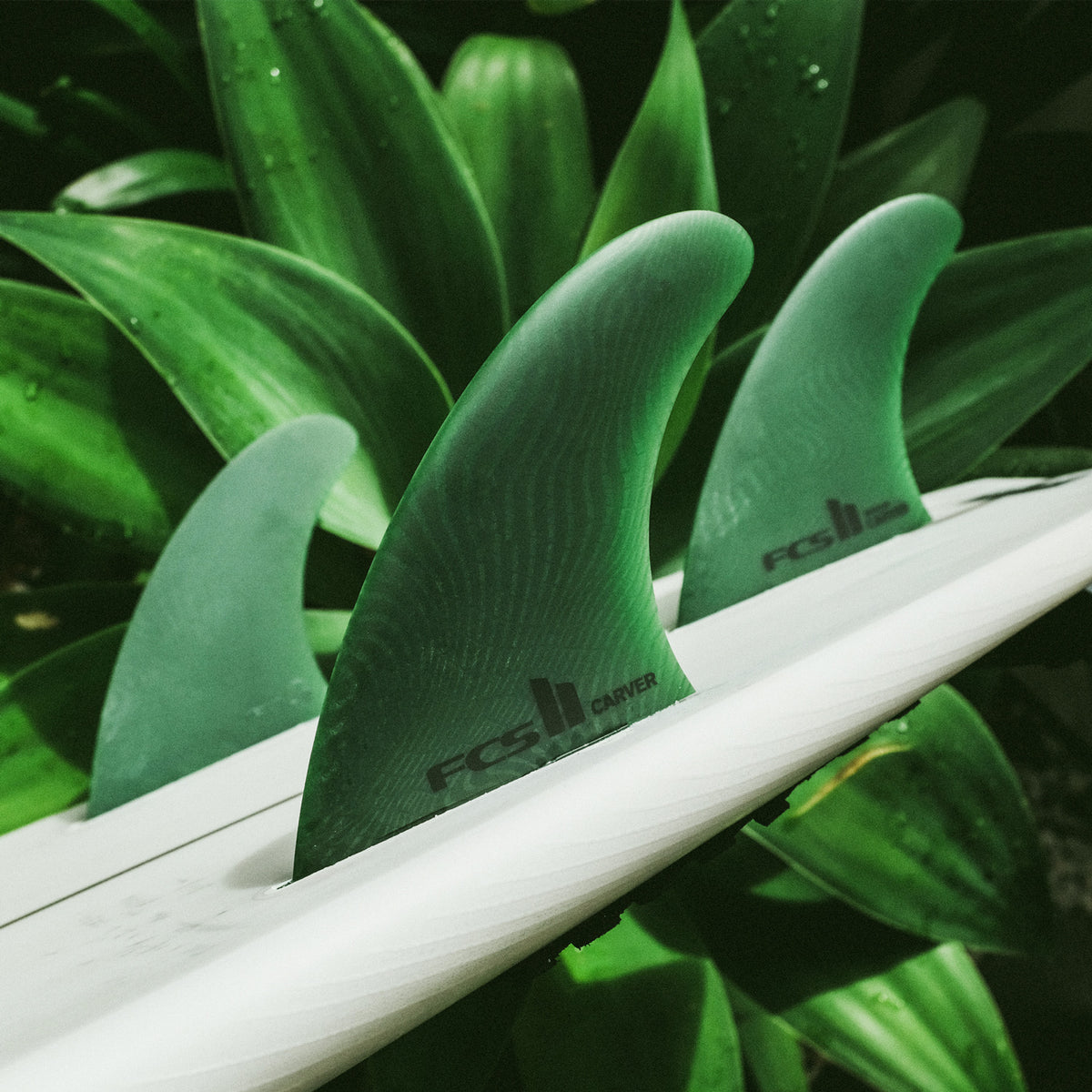 CARVER NEO GLASS TRI FIN SET